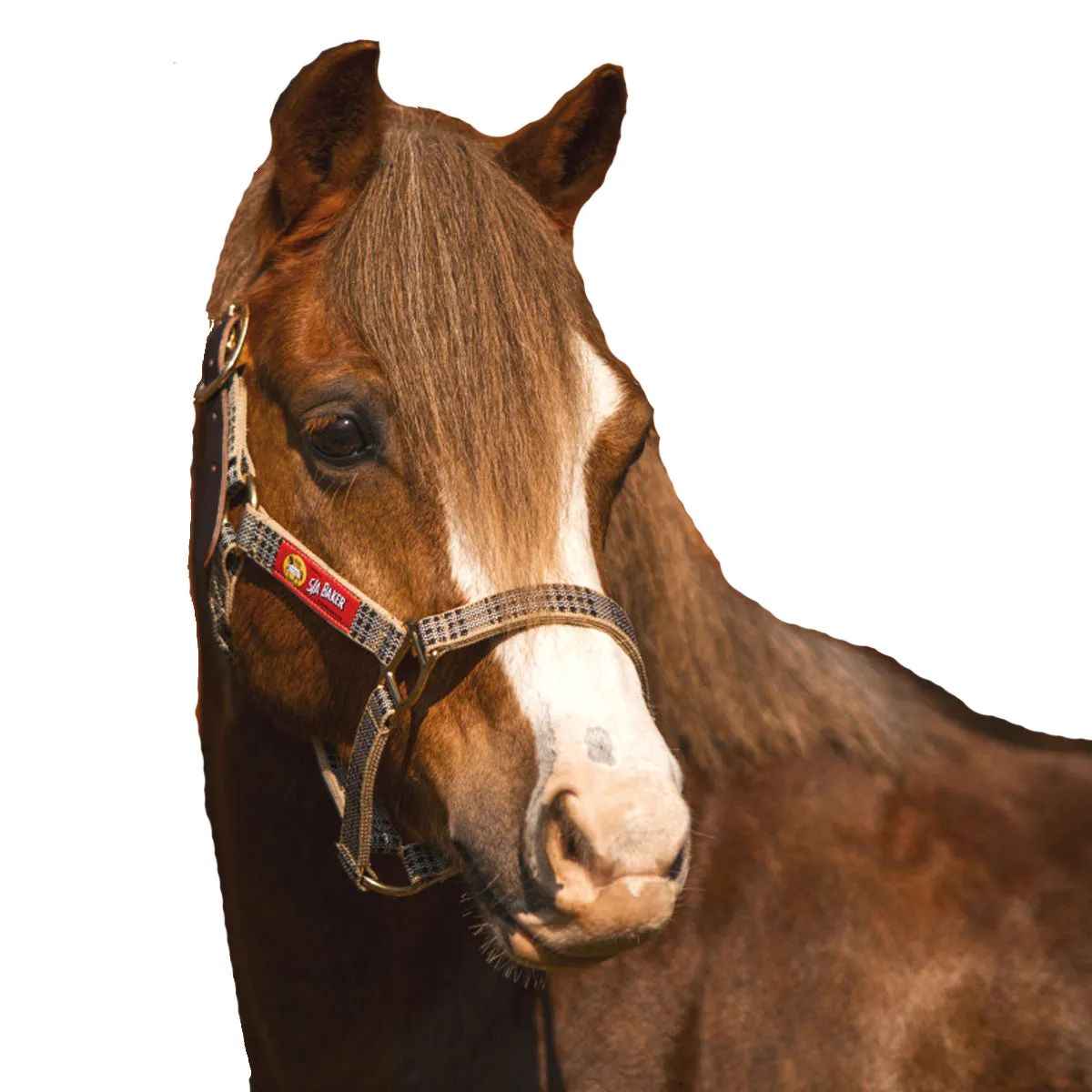 5/A Baker Breakaway Halter with Full Leather Crown