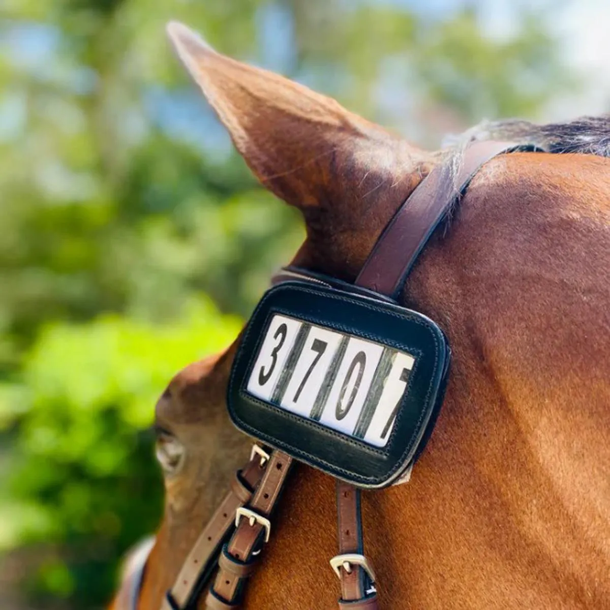 ACE Equestrian Pro4mance Four Digit # I.D.