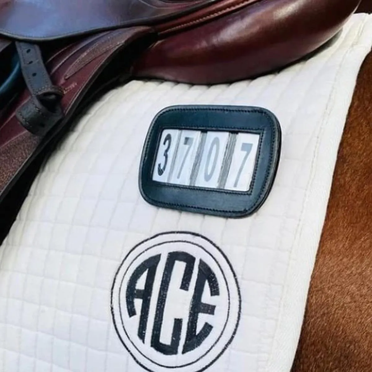 ACE Equestrian Pro4mance Four Digit # I.D.
