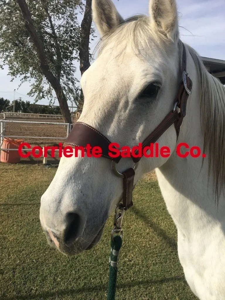 CSHALTER 100 Bronc Halter Plain
