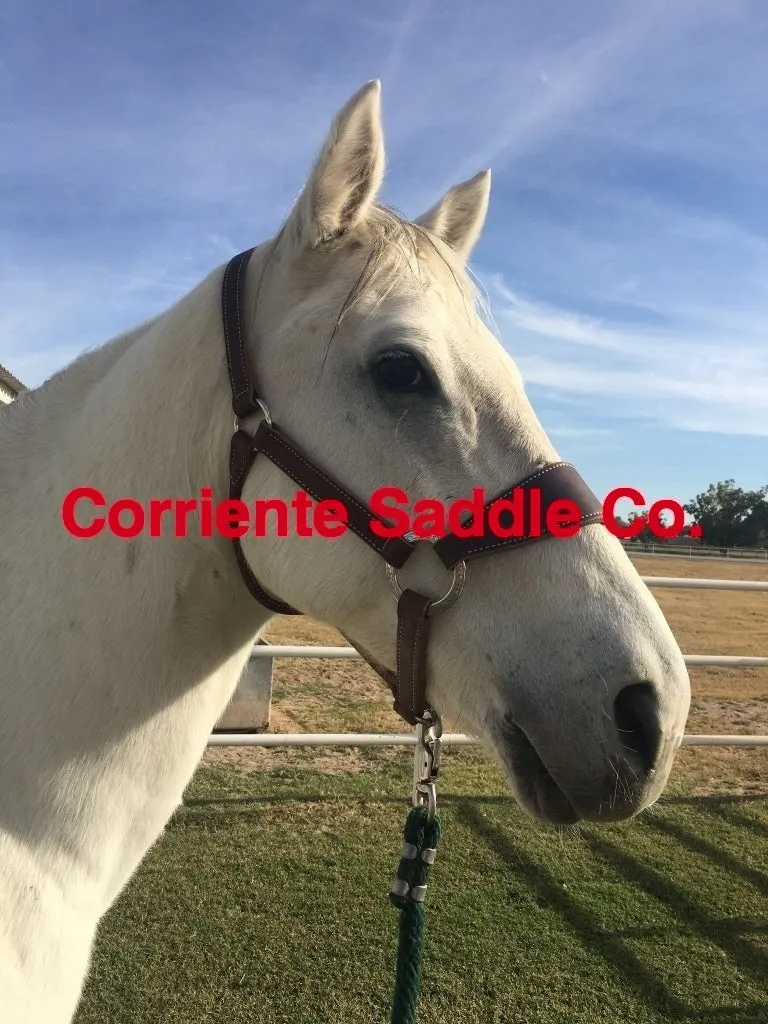 CSHALTER 100 Bronc Halter Plain