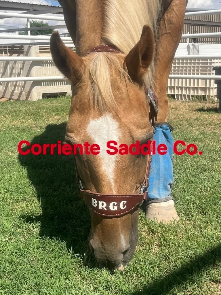 CSHALTER 100A Bronc Halter Lettered