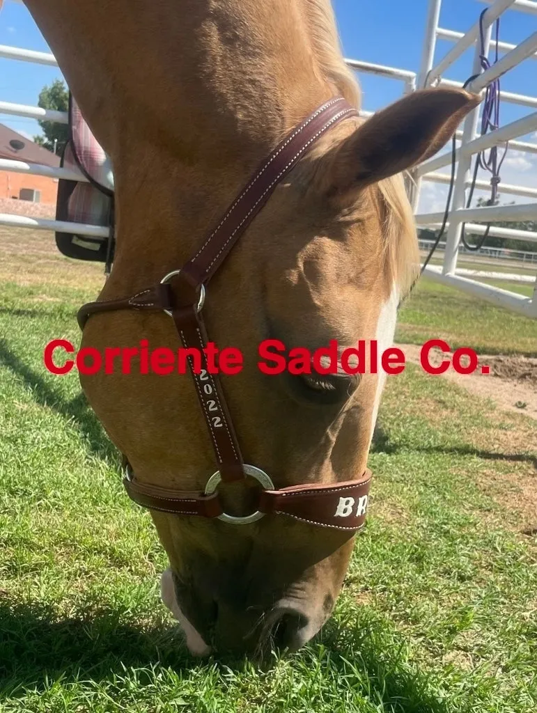 CSHALTER 100A Bronc Halter Lettered