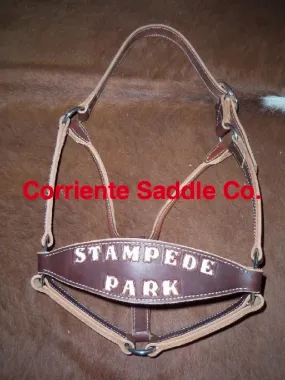 CSHALTER 100A Bronc Halter Lettered