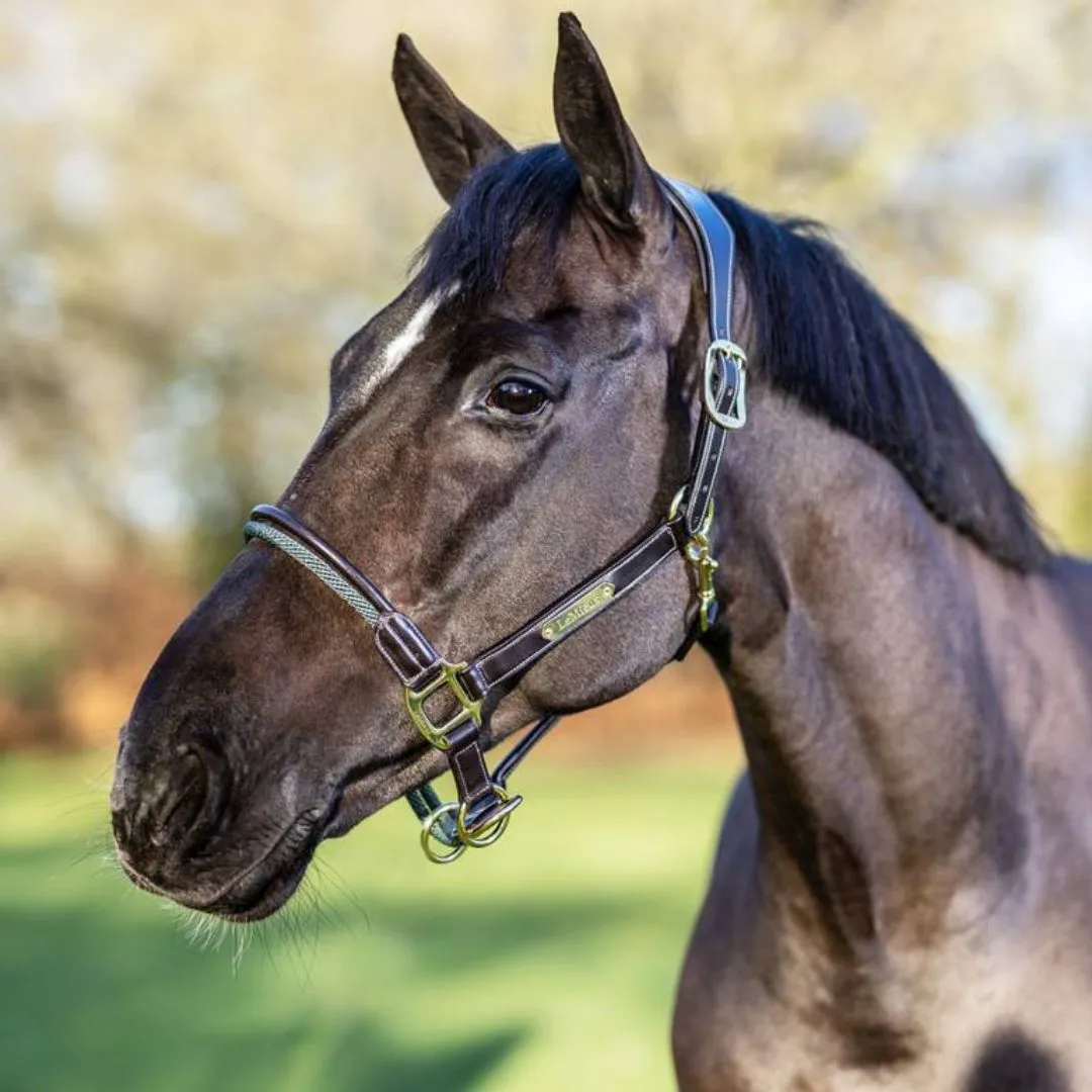 LeMieux Rope Control Halter